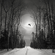 Photo-Art by Iskou-Hee