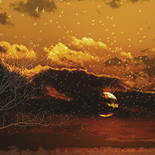 Photo-Art by Iskou-Hee Reflections