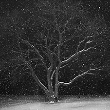 Photo-Art by Iskou-Hee